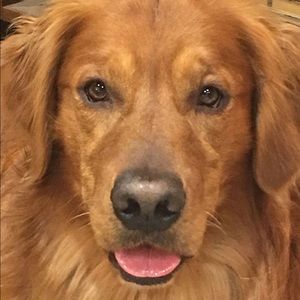 Meet your Posher, Randy